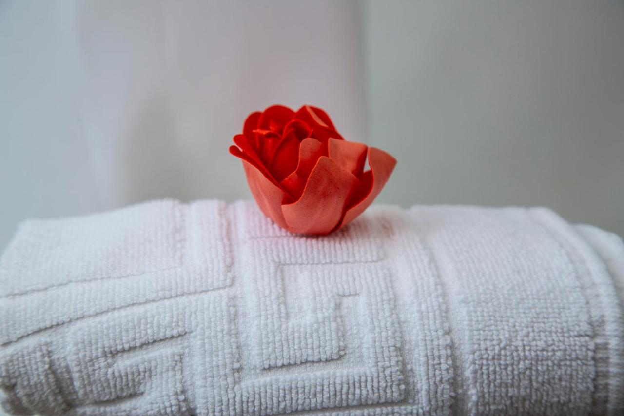 Hostal La Rosa กาเซเรส ภายนอก รูปภาพ